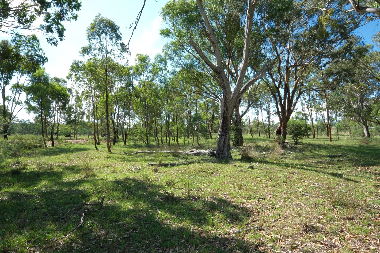 Additional image 8 of 1380 Elsmore Road (Elsmore), Inverell NSW 2360