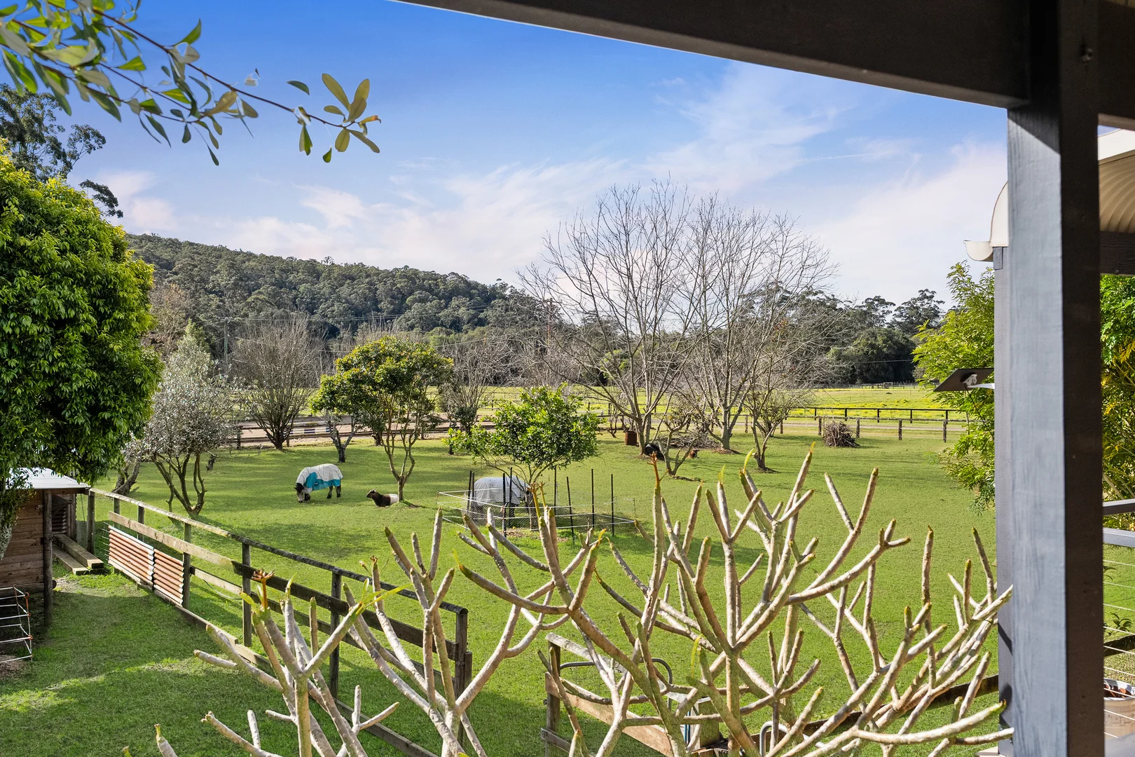 Additional image 17 of 413 Yarramalong Road, Wyong Creek NSW 2259