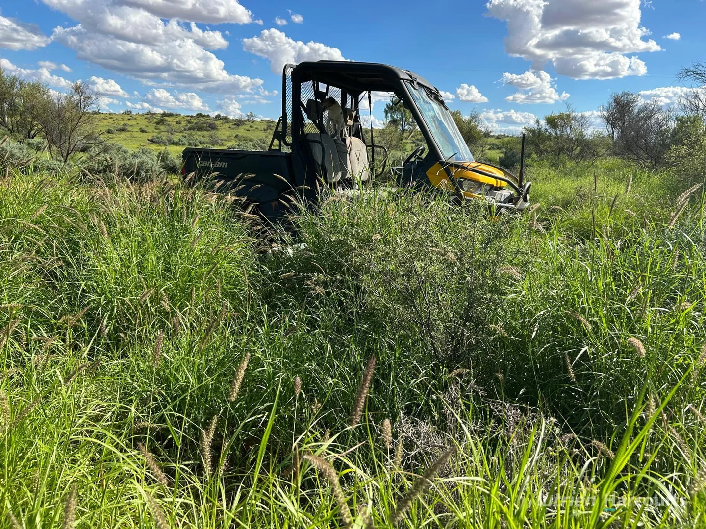 Additional image 9 of * Kayrunnera Station, 1944 Kayrunnera Road, Mutawintji NSW 2880