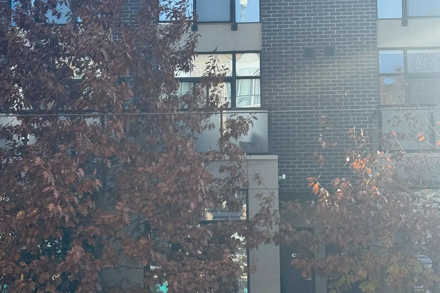 Additional image 8 of 1321 Gerrard Street 3