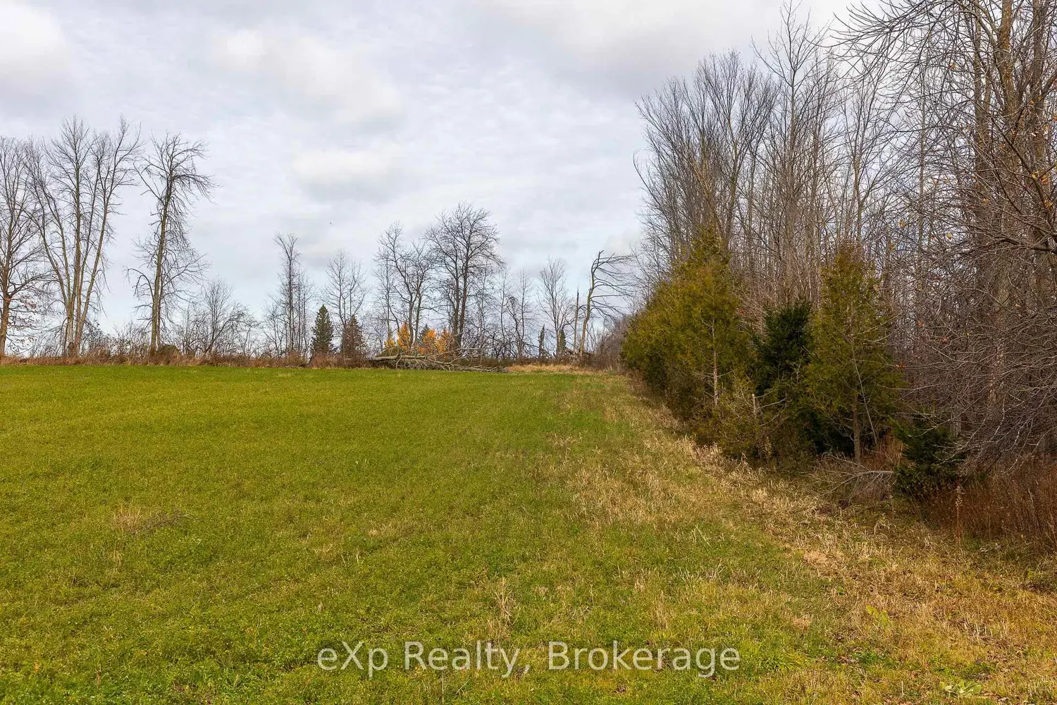 Additional image 4 of 83 C Line Road