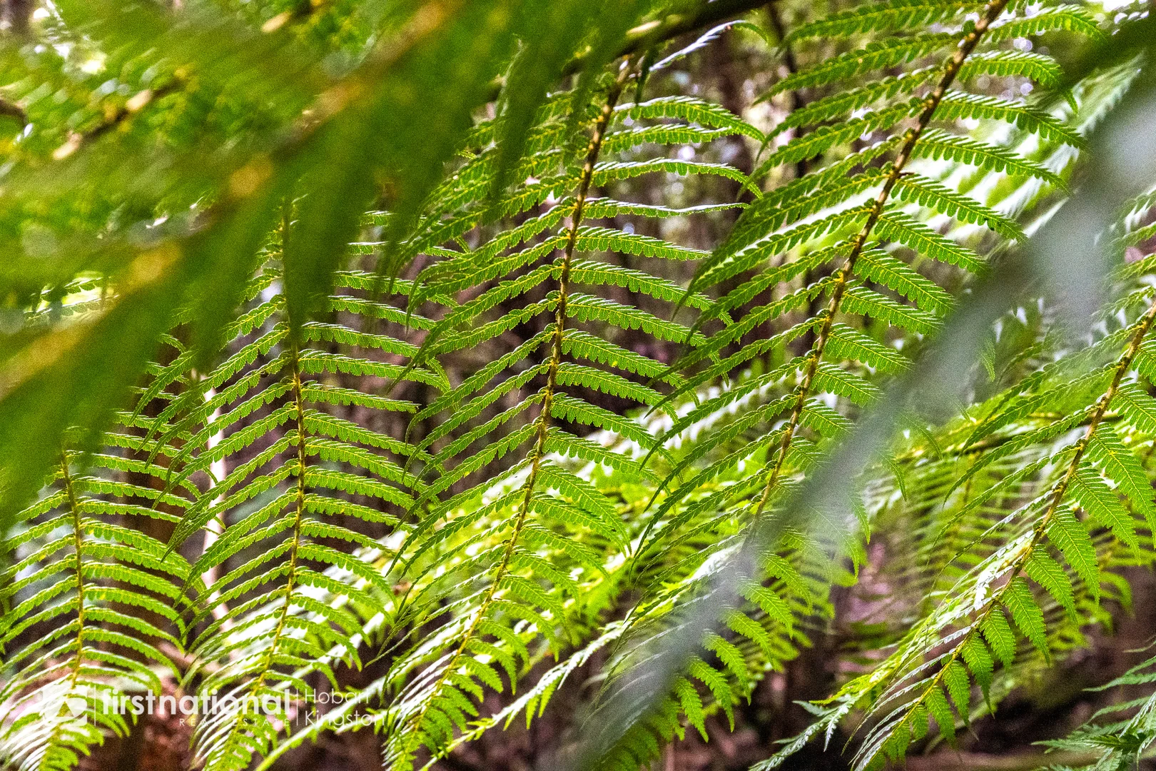 Additional image 7 of 240 Watsons Road, Kettering TAS 7155