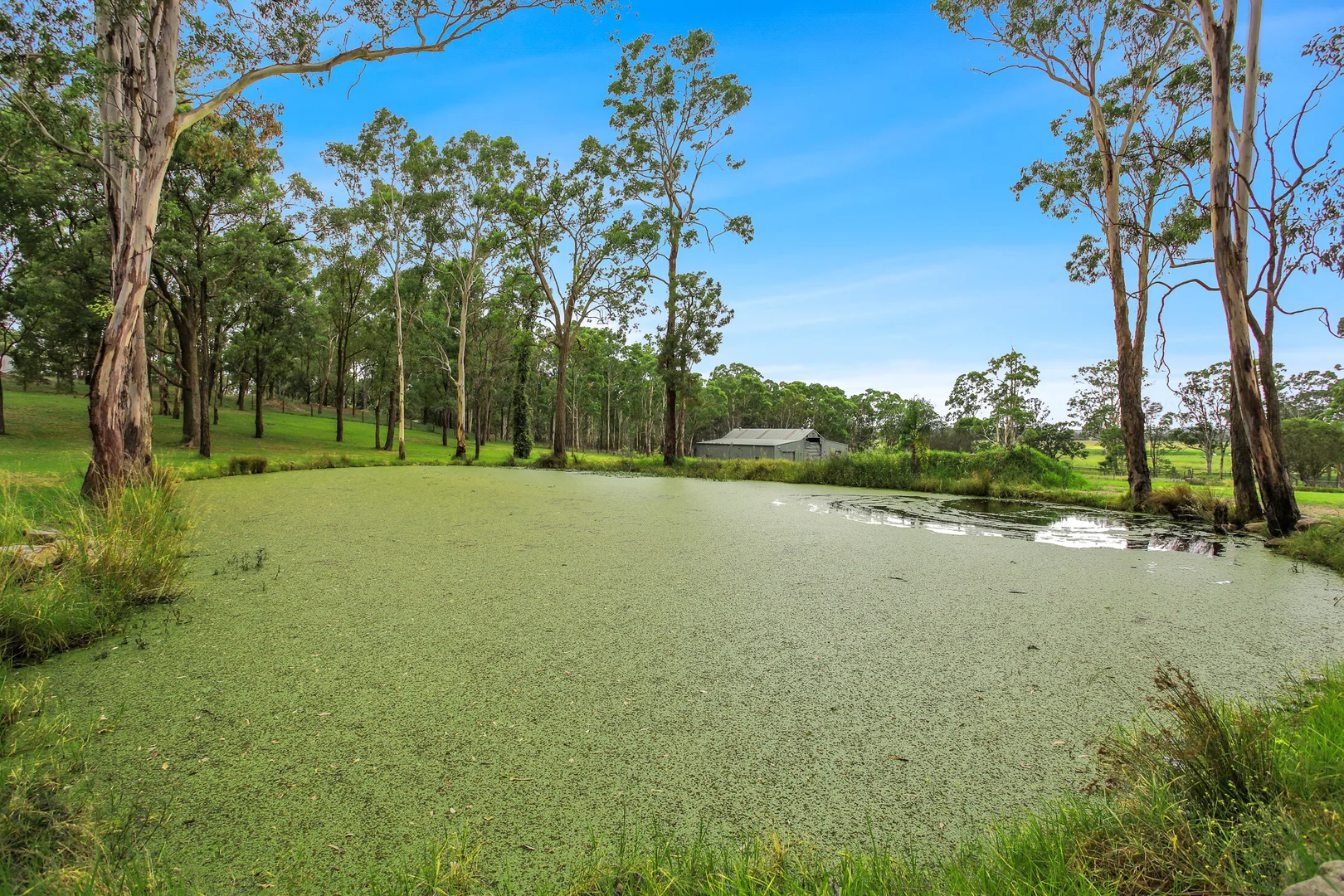 Additional image 12 of 158-164 Fourth Road, Berkshire Park NSW 2765