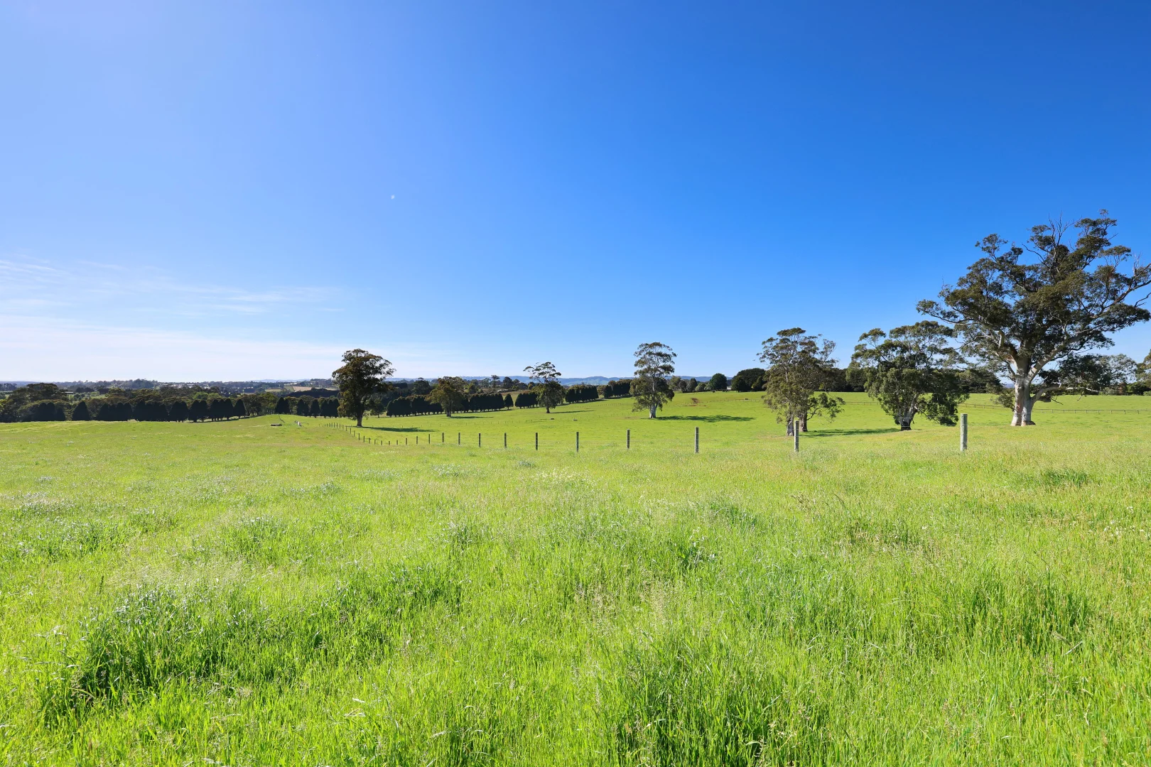 Additional image 20 of 935 Lardners Track, Warragul VIC 3820