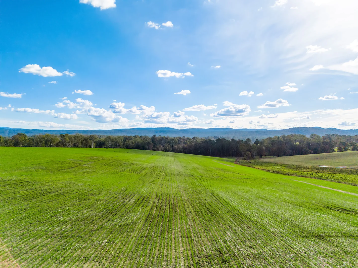 Additional image 40 of 119 Paddys Flat Road, Tabulam NSW 2469