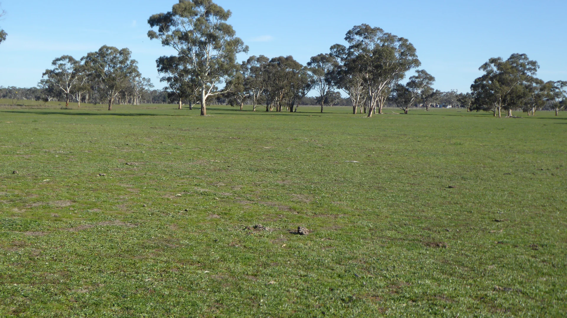 Additional image 8 of 2147 Bangham Road, Frances SA 5262