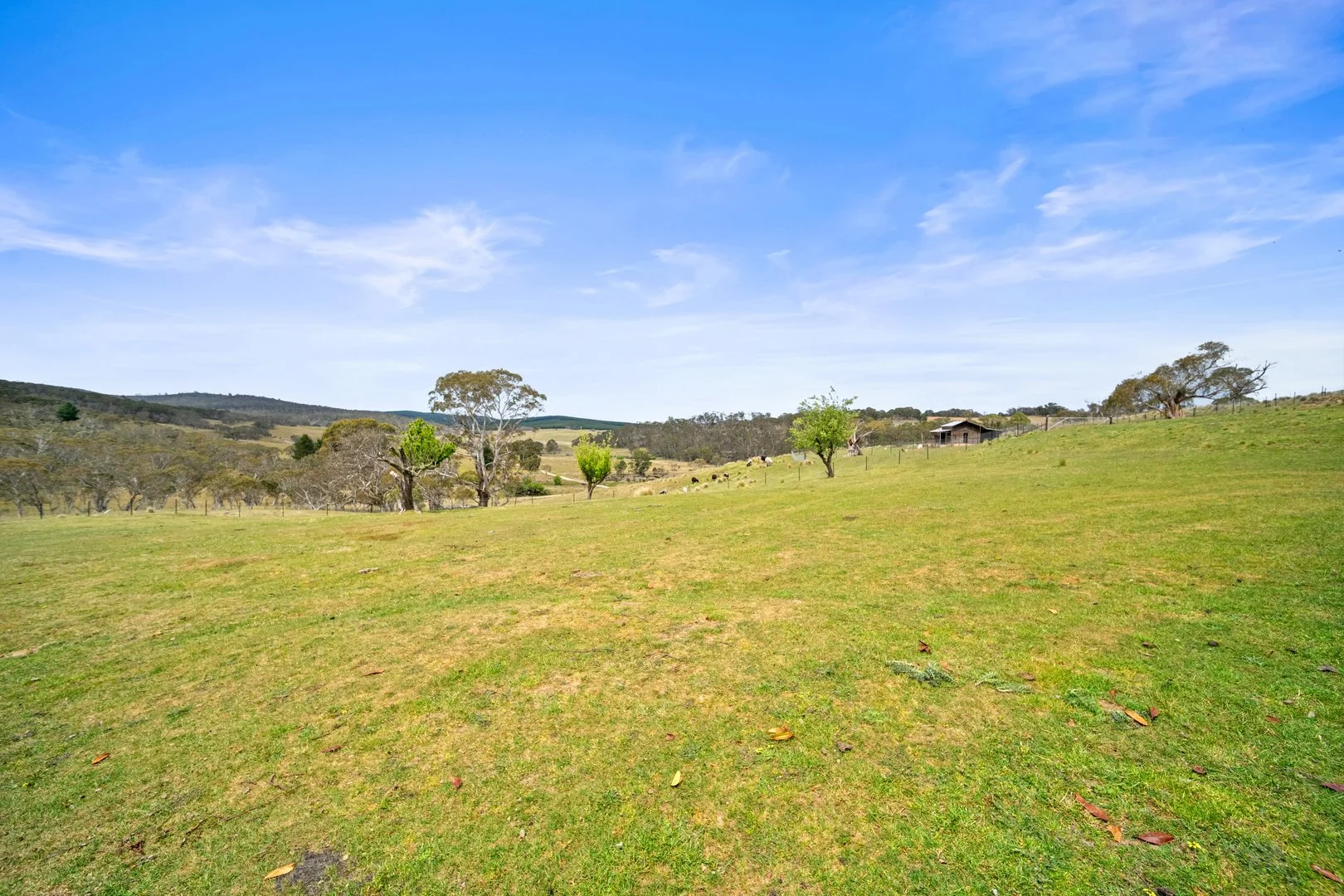 Additional image 28 of 148 Ferndale Road, Coolumbooka NSW 2632