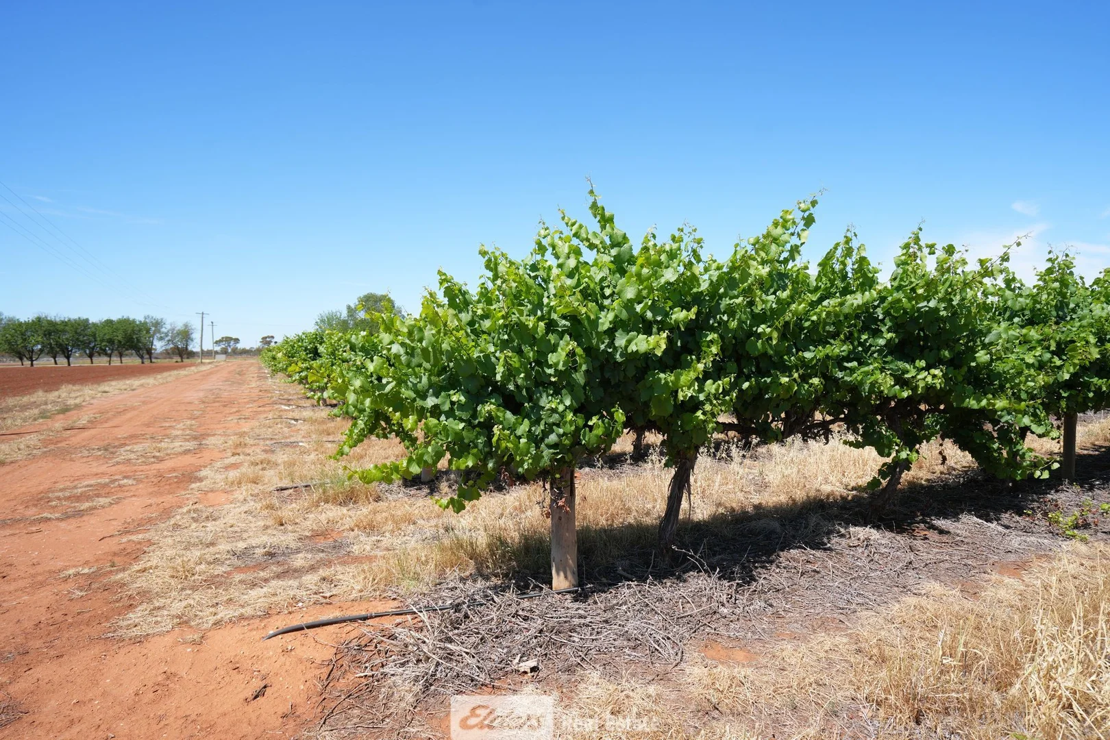 Additional image 3 of 1489 McDonough Road, Yenda NSW 2681