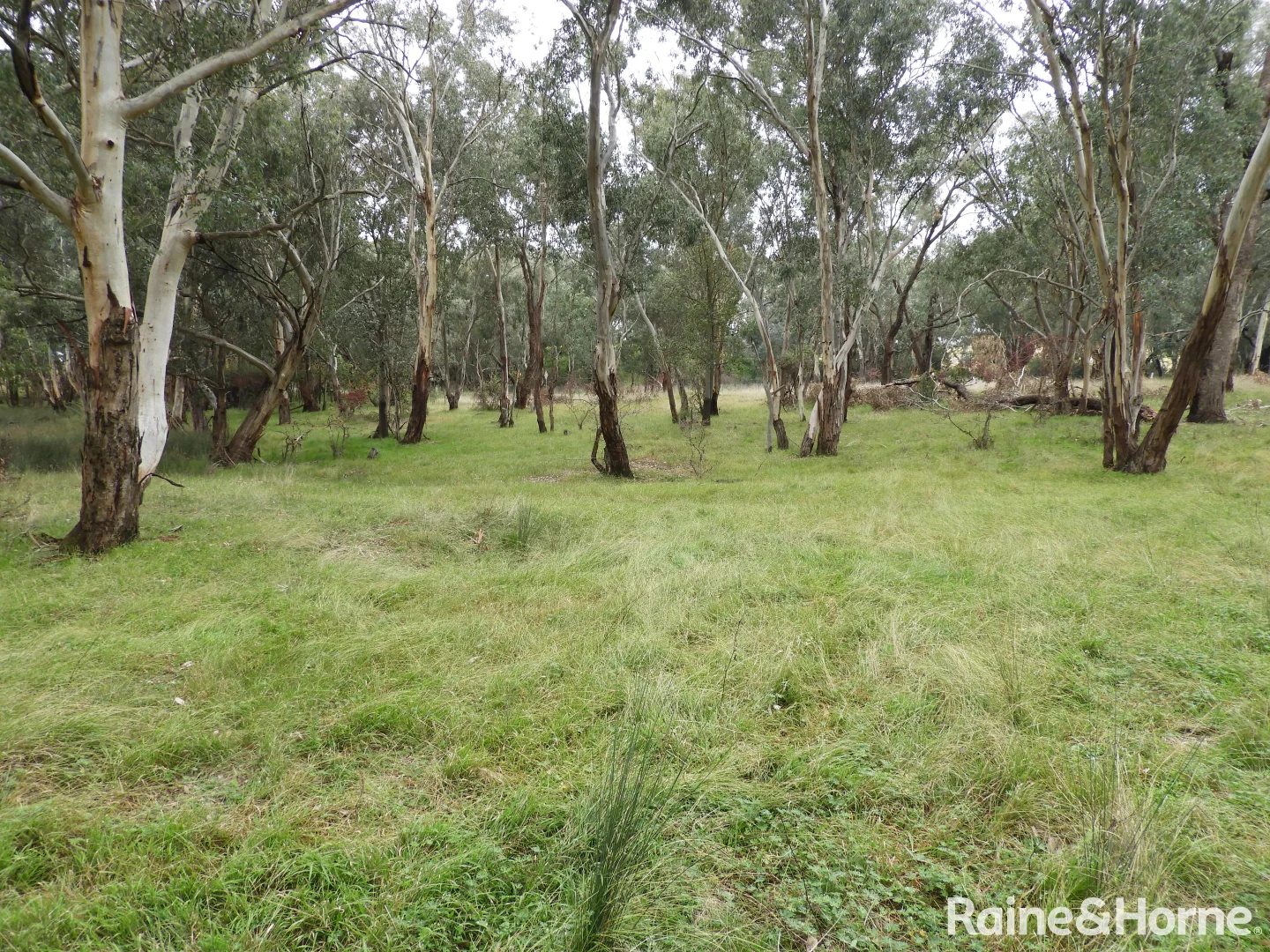 Additional image 3 of Part 4735 Olympic Highway, Young NSW 2594