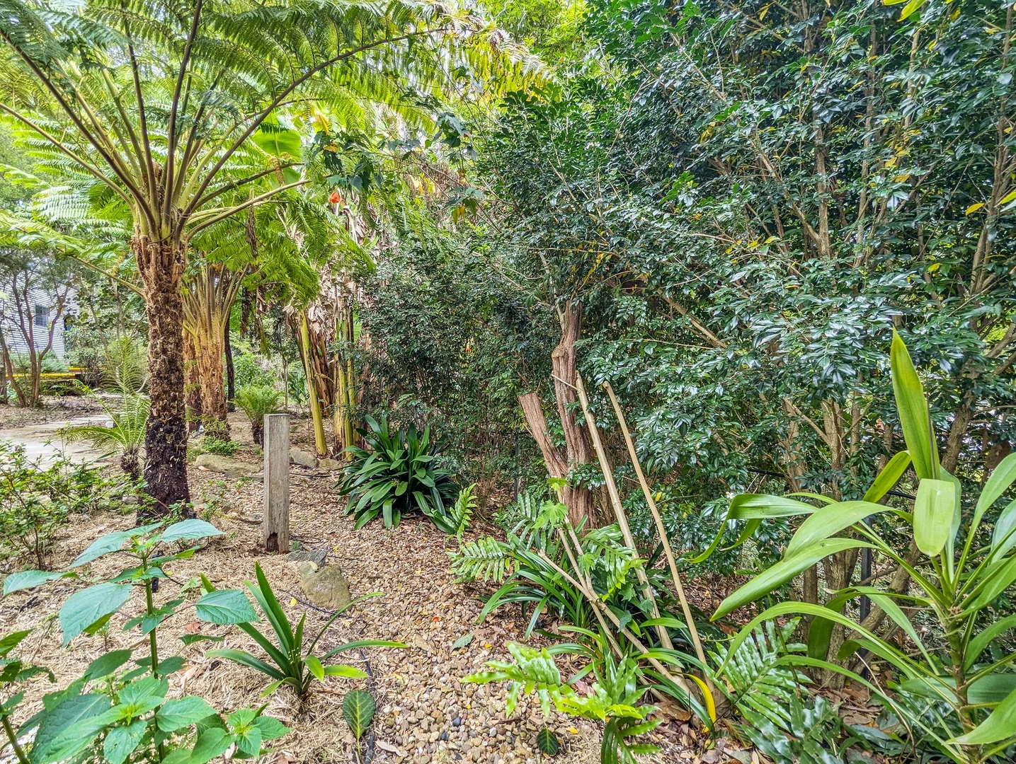 Additional image 20 of 4 Lloyd Place, Mystery Bay NSW 2546