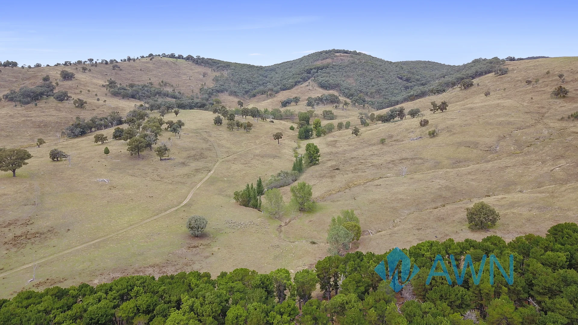 Additional image 30 of 252 Welshs Road, Baddaginnie VIC 3670