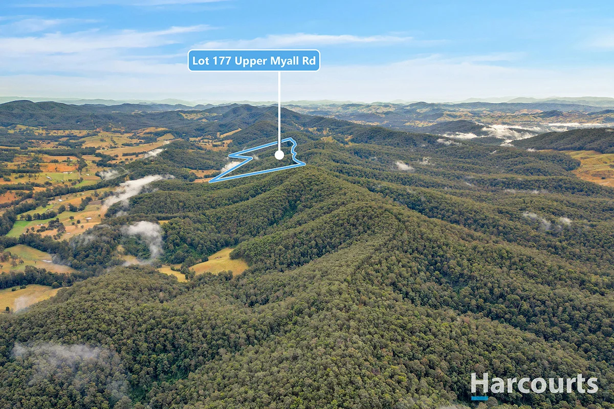 177 Upper Myall Road, Warranulla NSW 2423 photo 5
