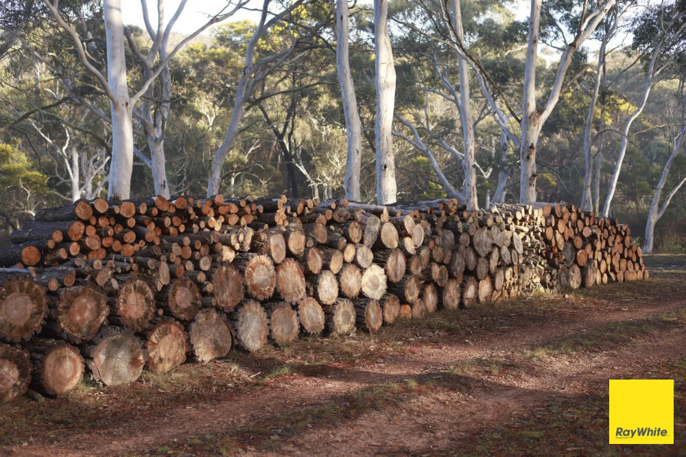 Additional image 7 of 270 Pine Bank Drive, Lower Boro NSW 2580