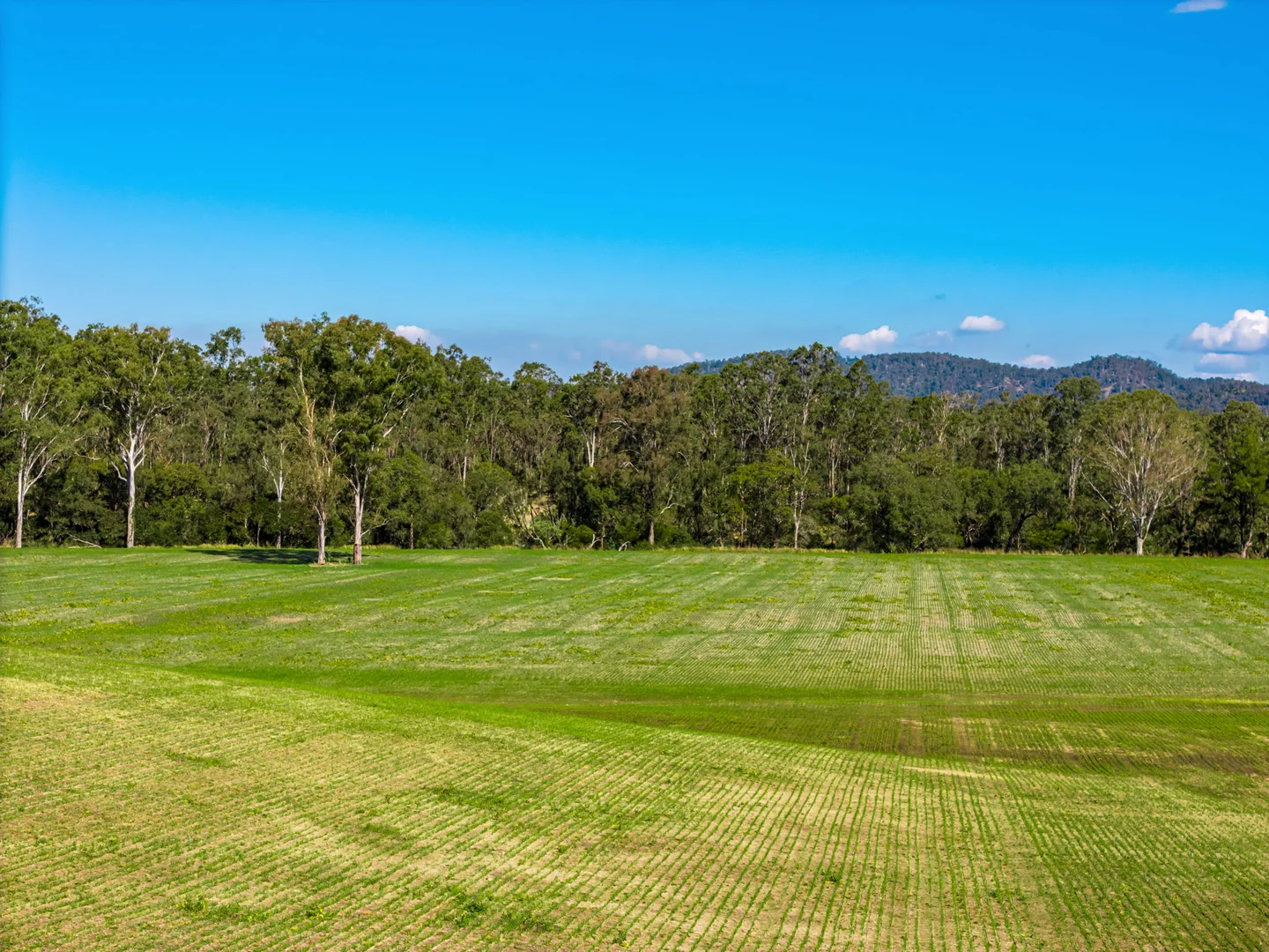 Additional image 22 of 119 Paddys Flat Road, Tabulam NSW 2469