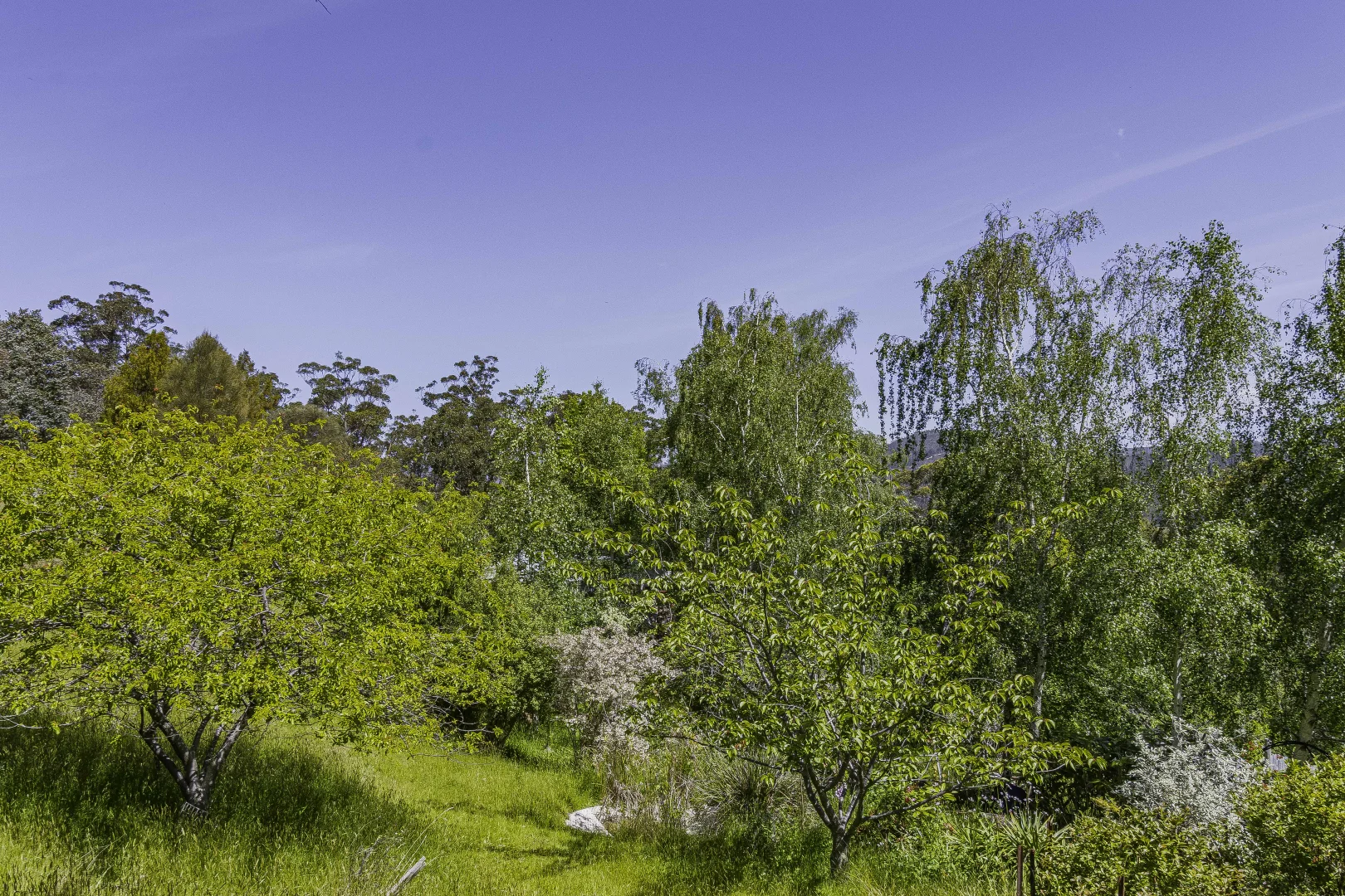 Additional image 58 of 242 Woolleys Road, Lonnavale TAS 7109