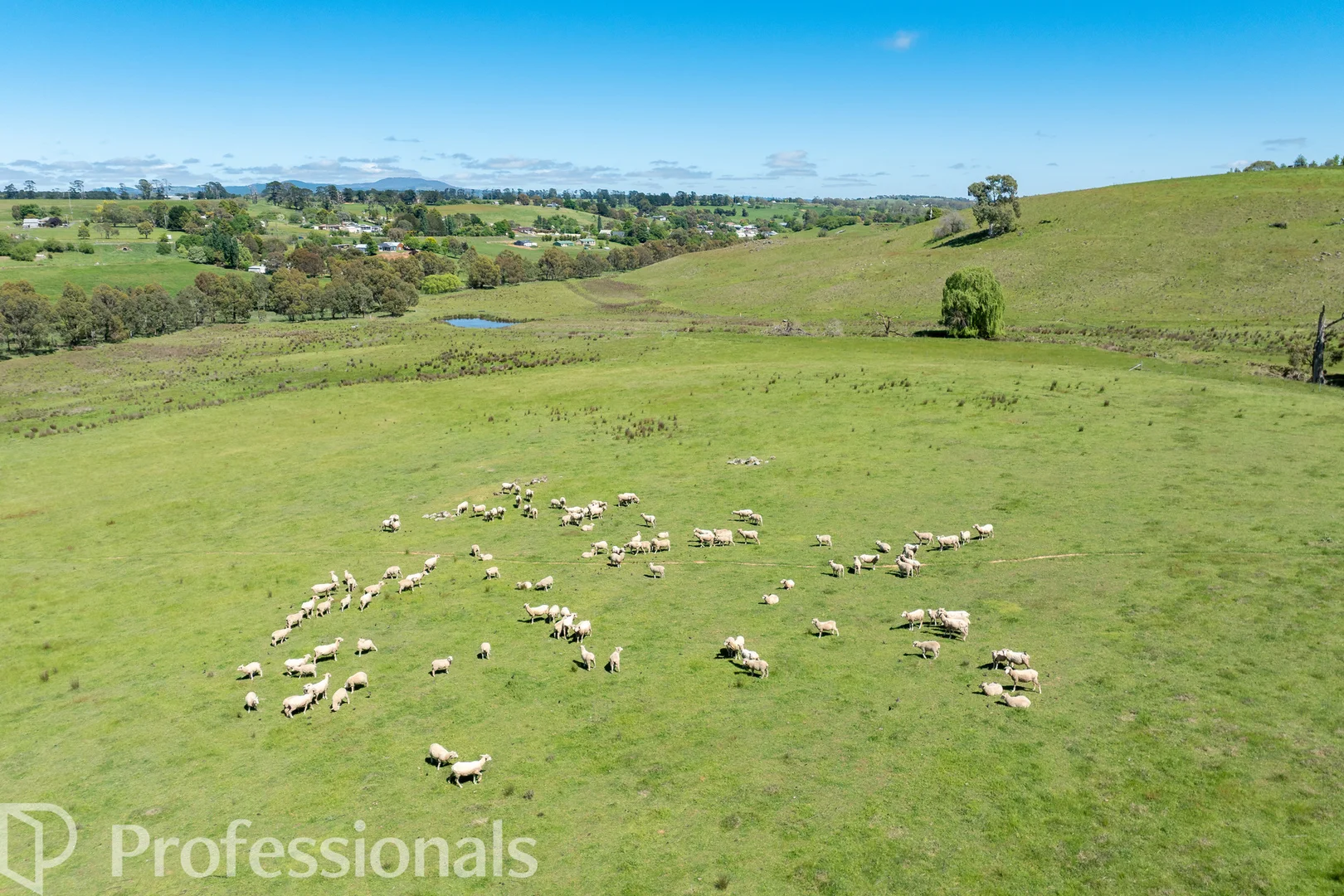 Additional image 40 of 94 Emu Swamp Road, Orange NSW 2800