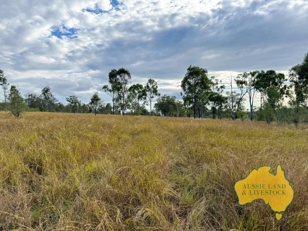 Additional image 33 of 8 SCREENING PLANT ROAD, Cynthia QLD 4627