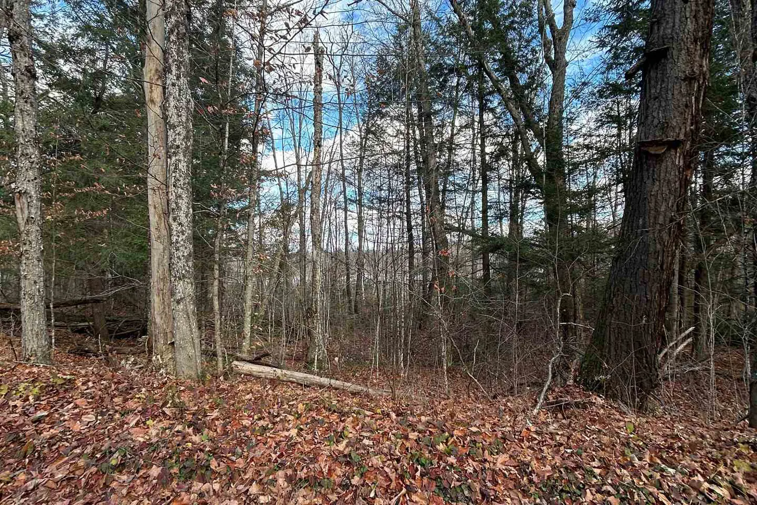 Additional image 15 of 0 Mill Lake Road