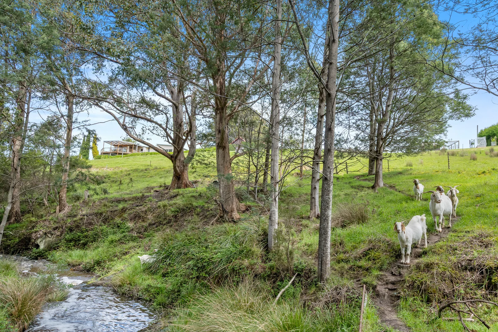 Additional image 27 of 60 Clear Creek Road, Woodbridge TAS 7162