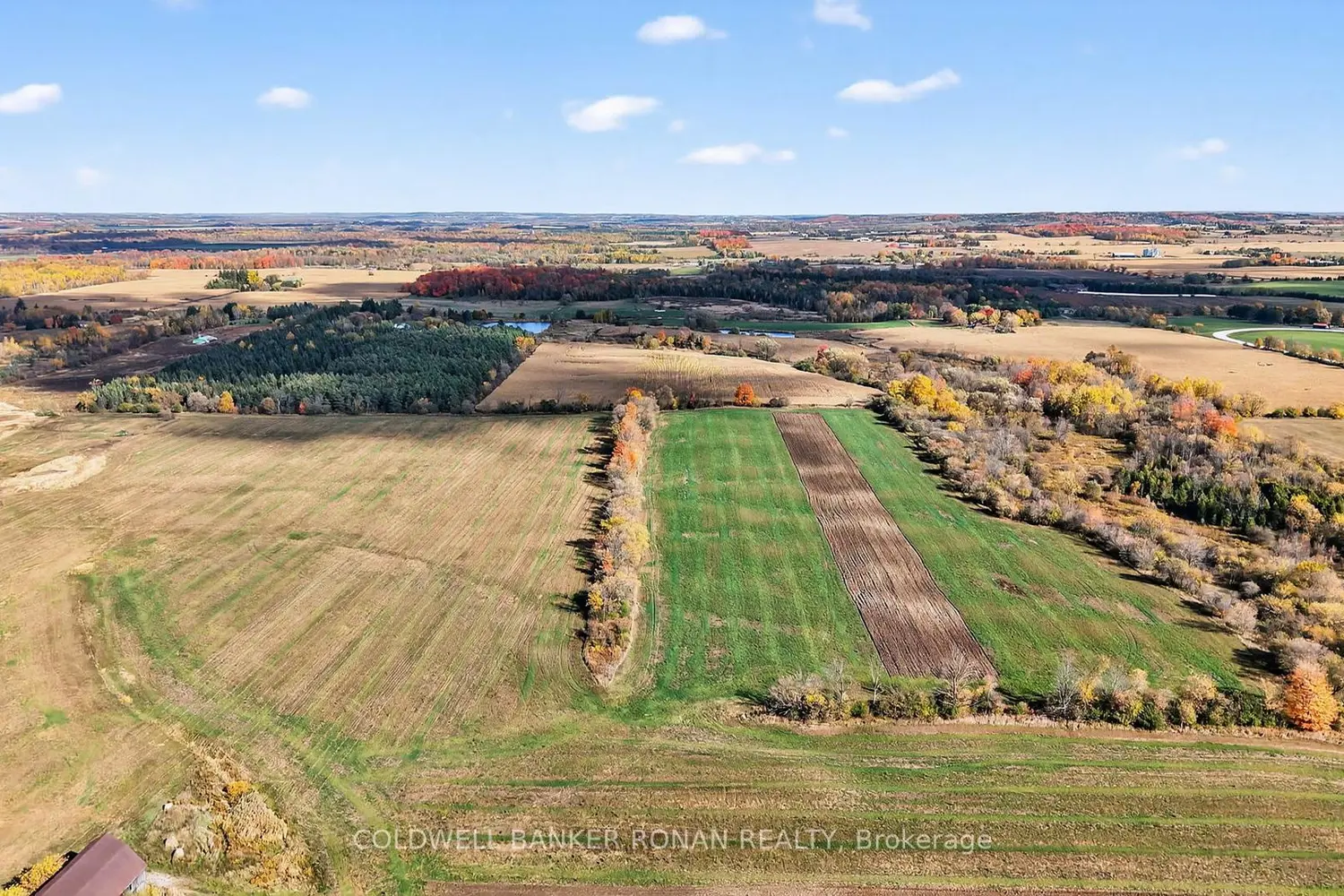 Additional image 19 of 3142 County Rd 50