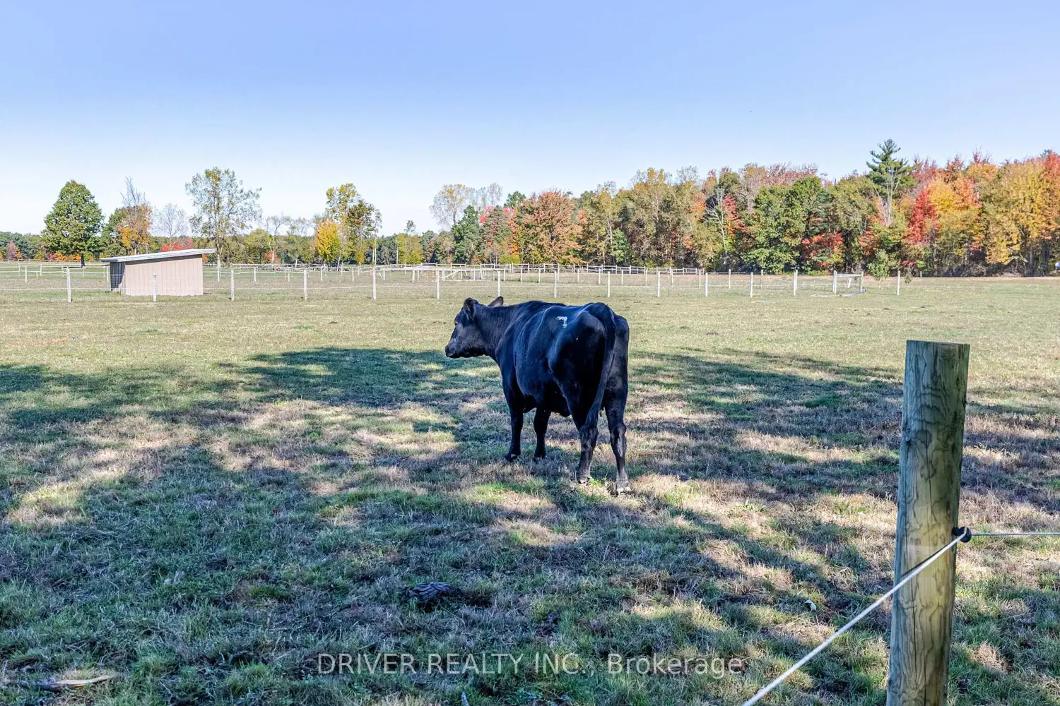 Additional image 9 of 1726 4Th Concession Road
