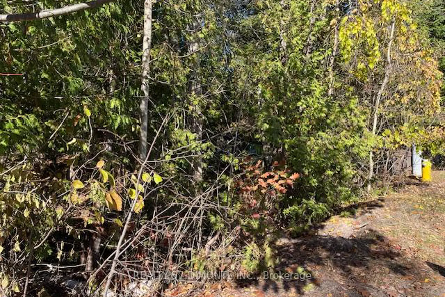 Additional image 4 of 00000 River Road