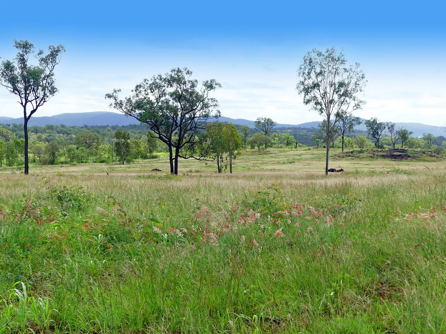Additional image 9 of LOT 570, 2, 3 Capricorn Highway, Westwood QLD 4702
