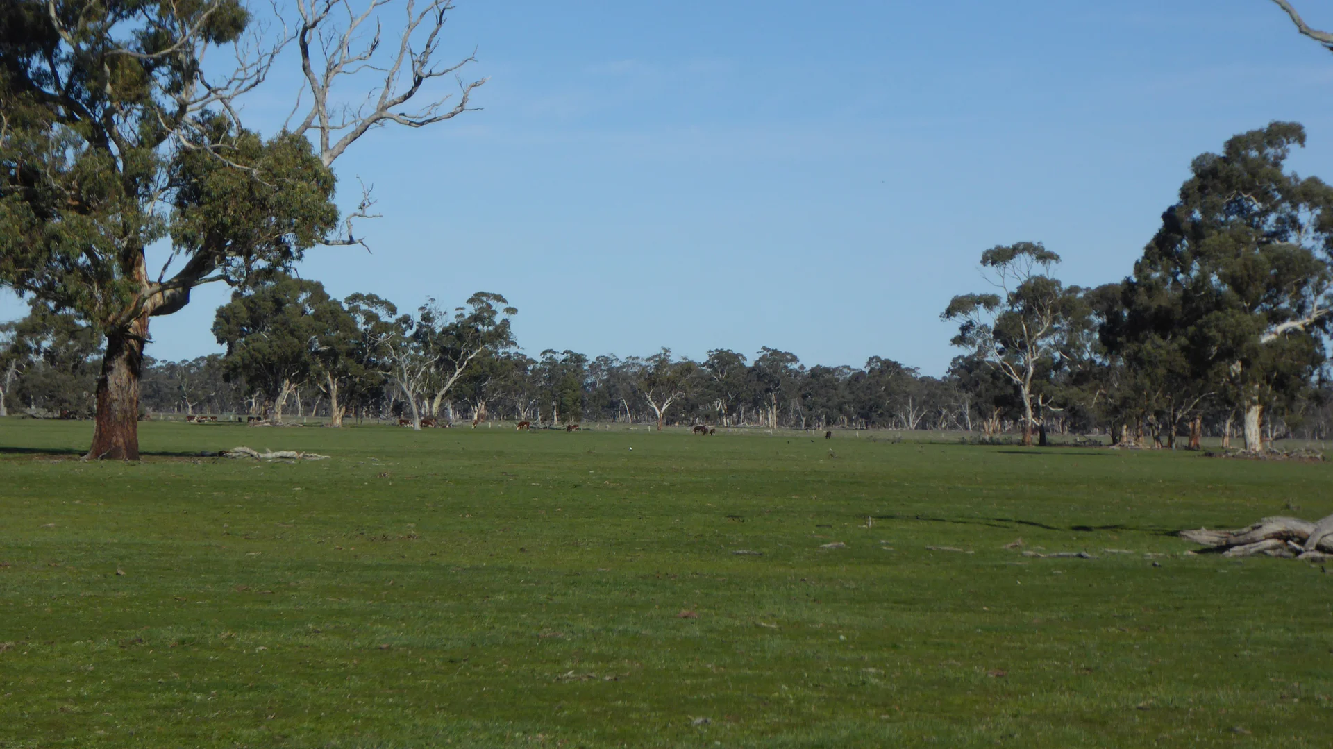 Additional image 16 of 2147 Bangham Road, Frances SA 5262