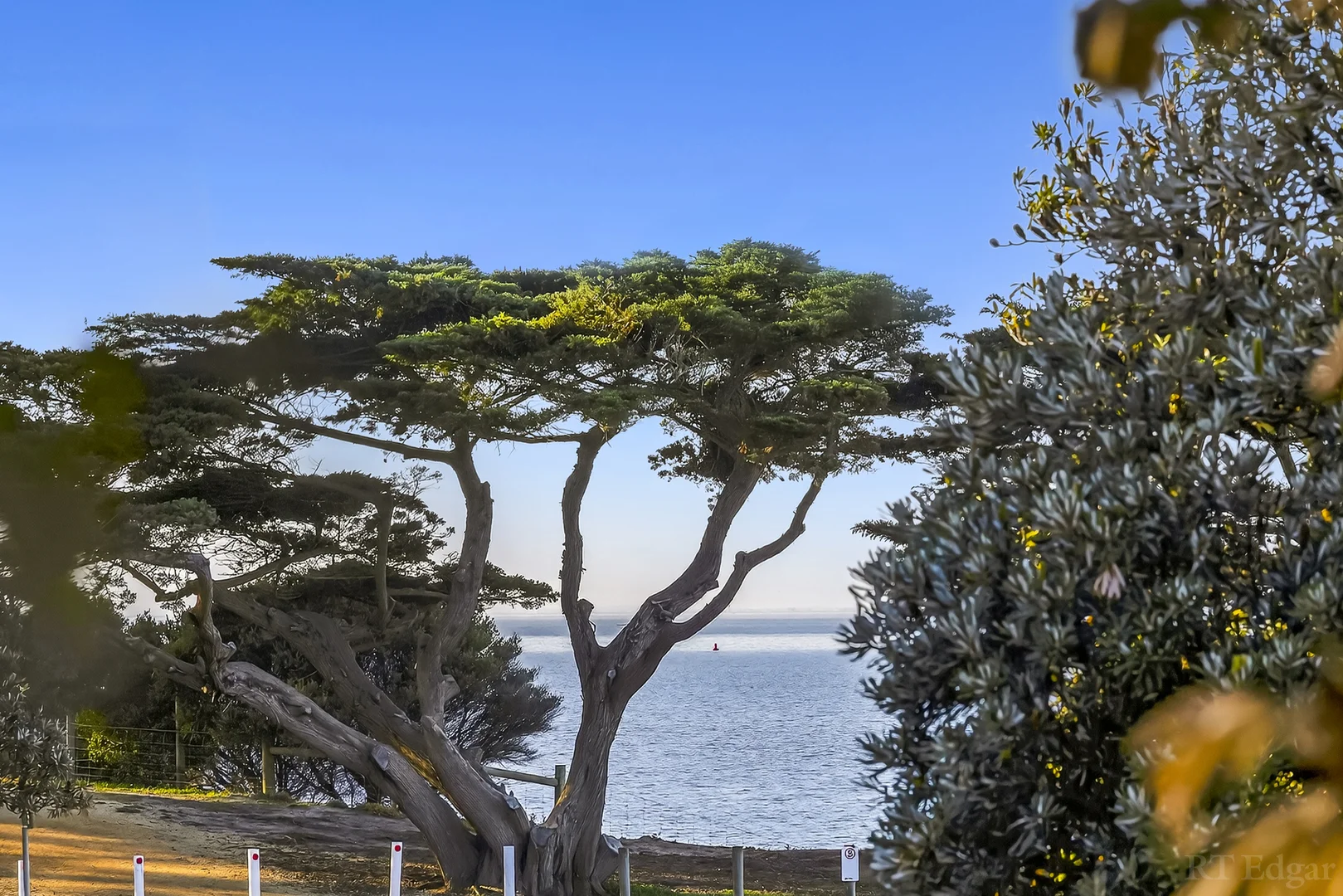 Additional image 12 of Level 1, 101/1 Bluff Road, St Leonards VIC 3223