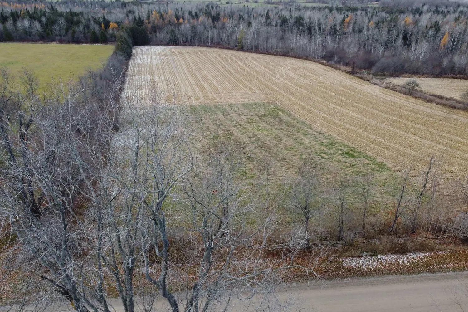 Additional image 10 of 5258 Third Line