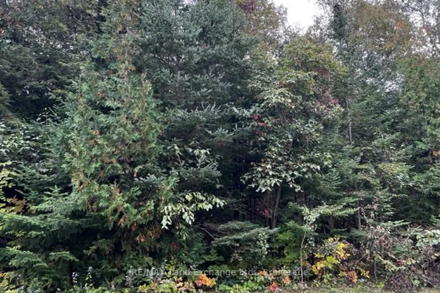 Additional image 4 of 3 Shore Road