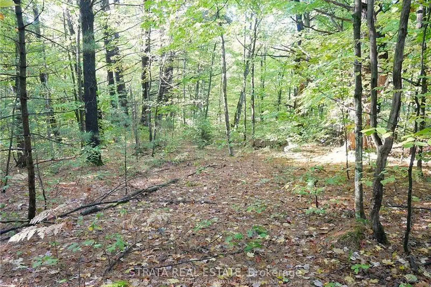 Additional image 5 of 0 518