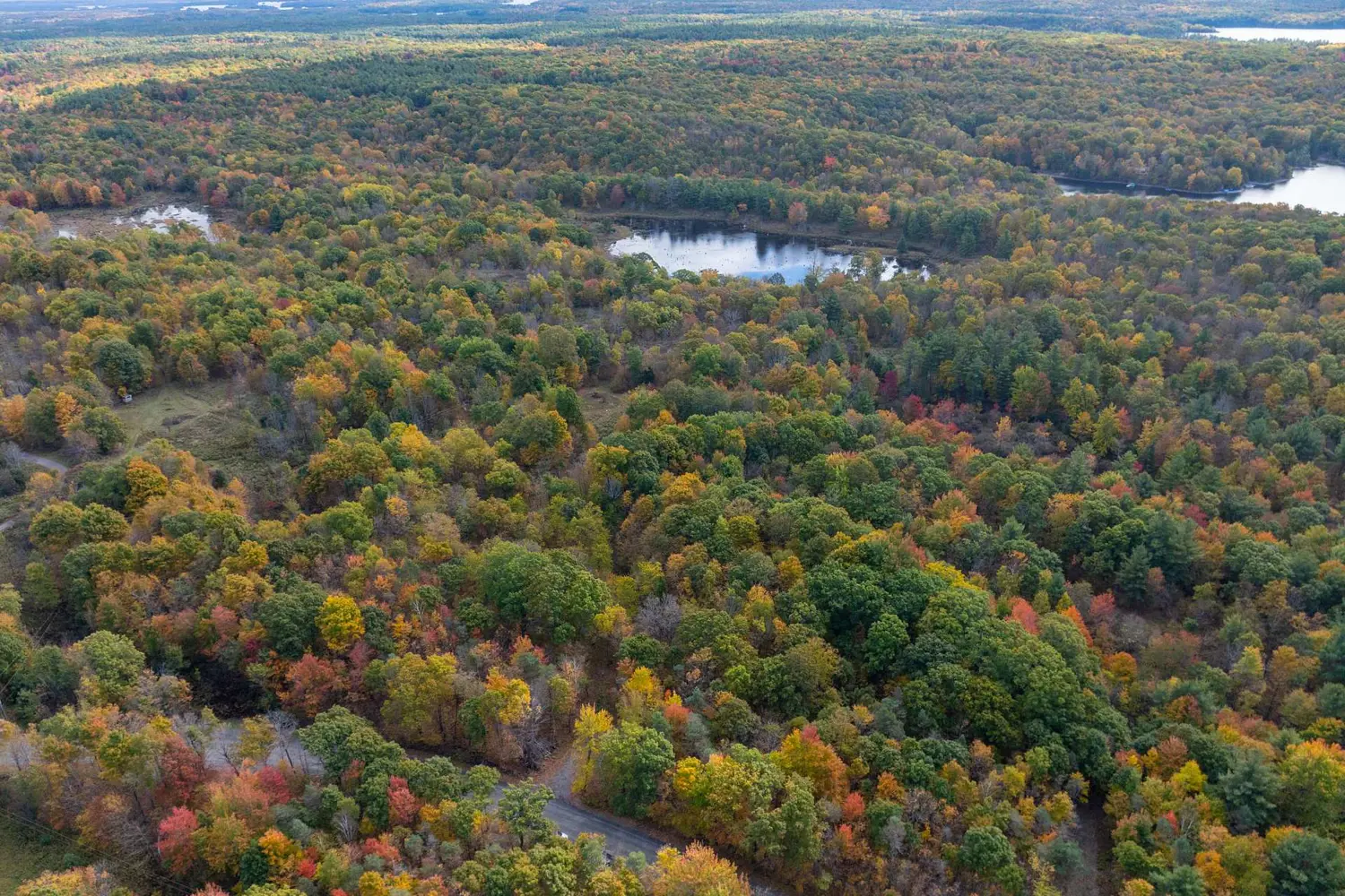 Additional image 4 of Pt Lts 12 & 13 Devil Lake Road