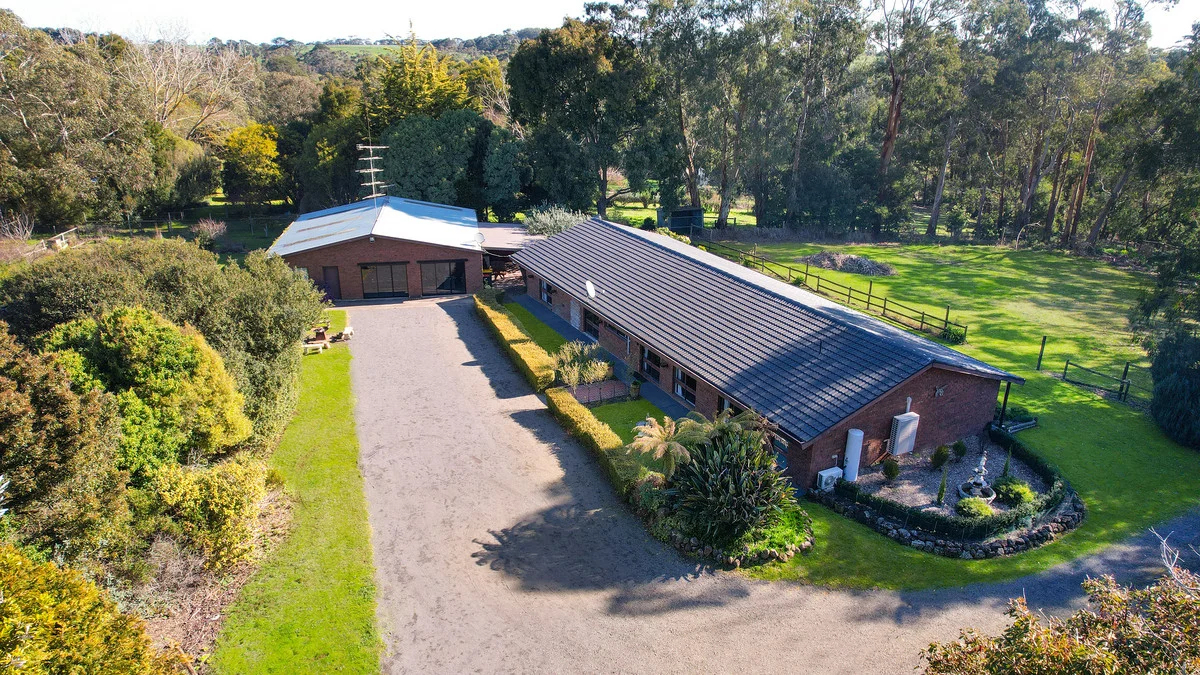 Additional image 7 of 169 Timboon - Curdievale Road, Timboon VIC 3268