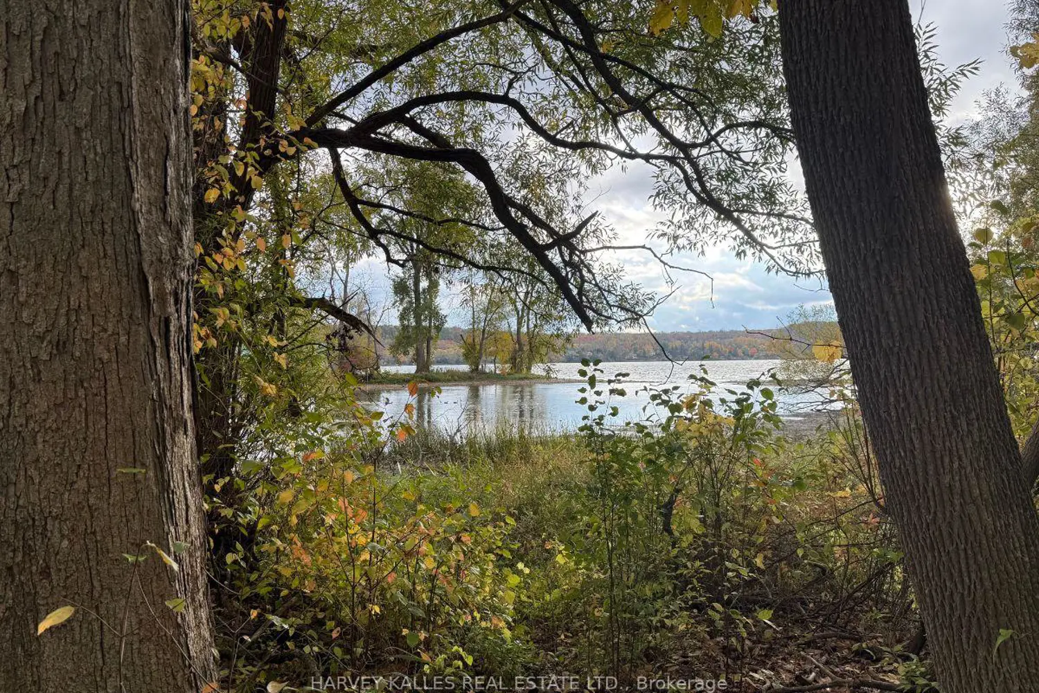 Additional image 10 of 0 Oakwood Lane