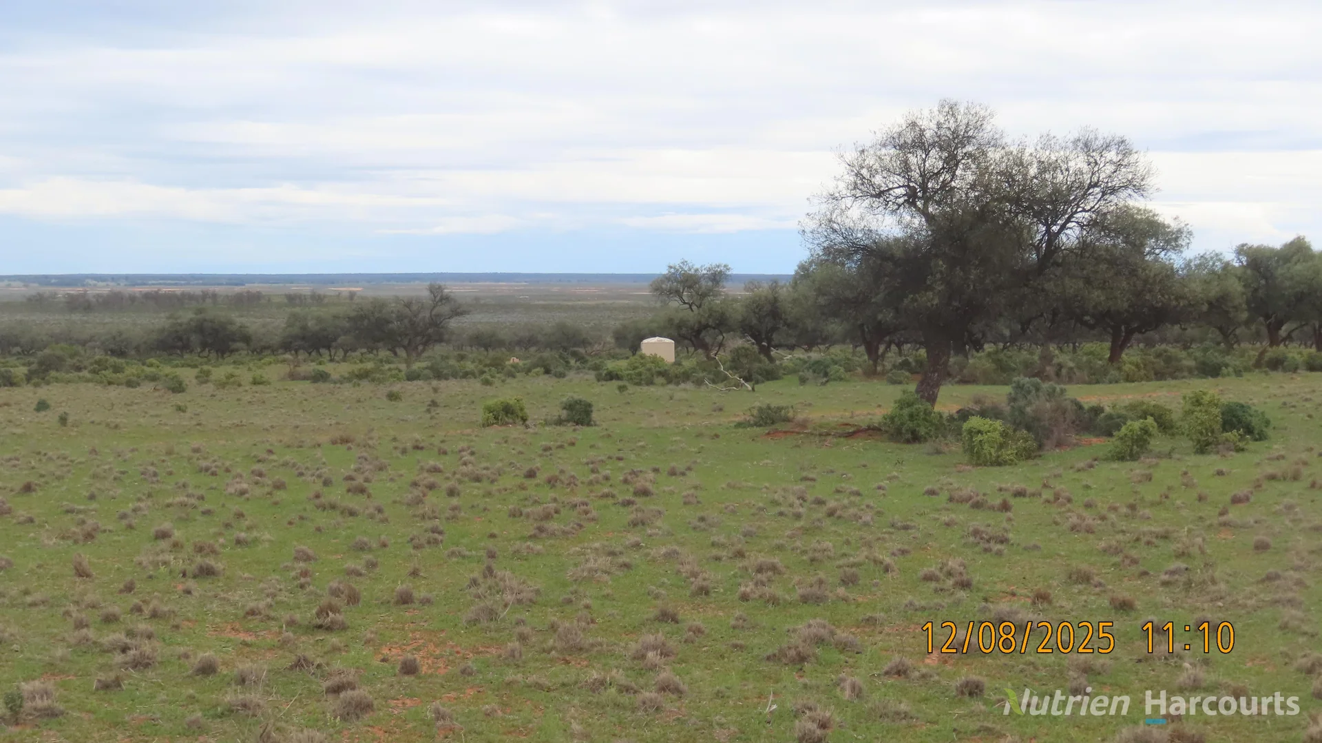 Additional image 24 of * Magenta Aggregation, Balranald NSW 2715
