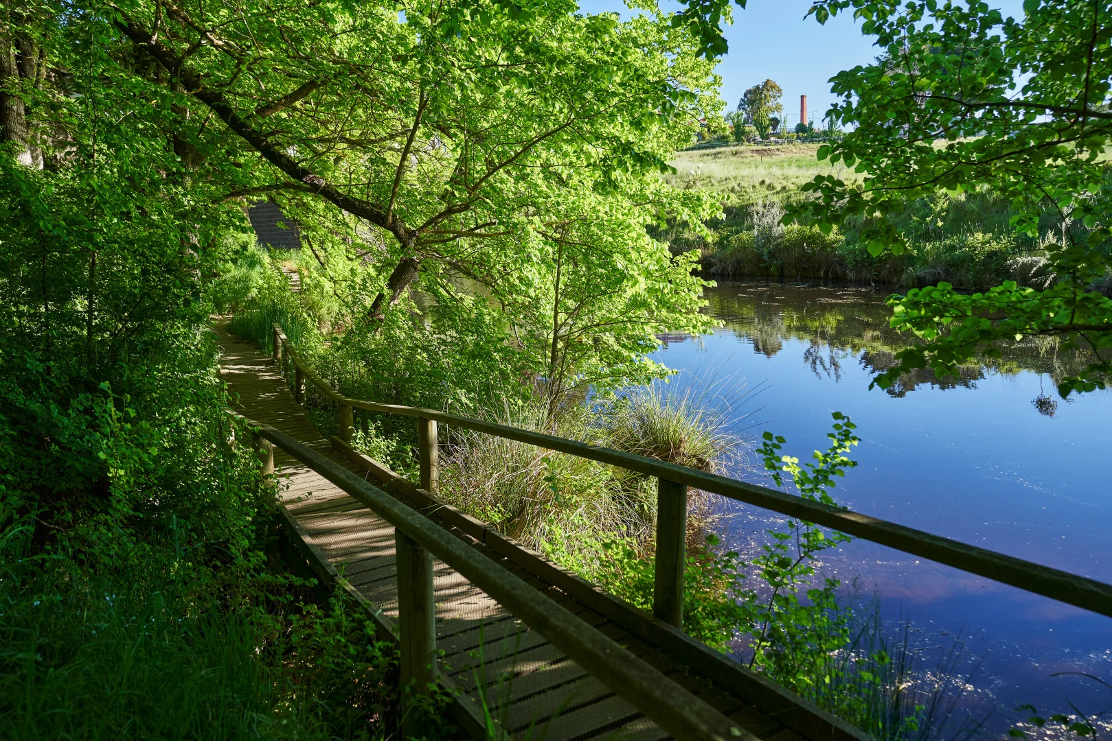 Additional image 16 of 12 Ambrosia Estate Avenue, Kyneton VIC 3444
