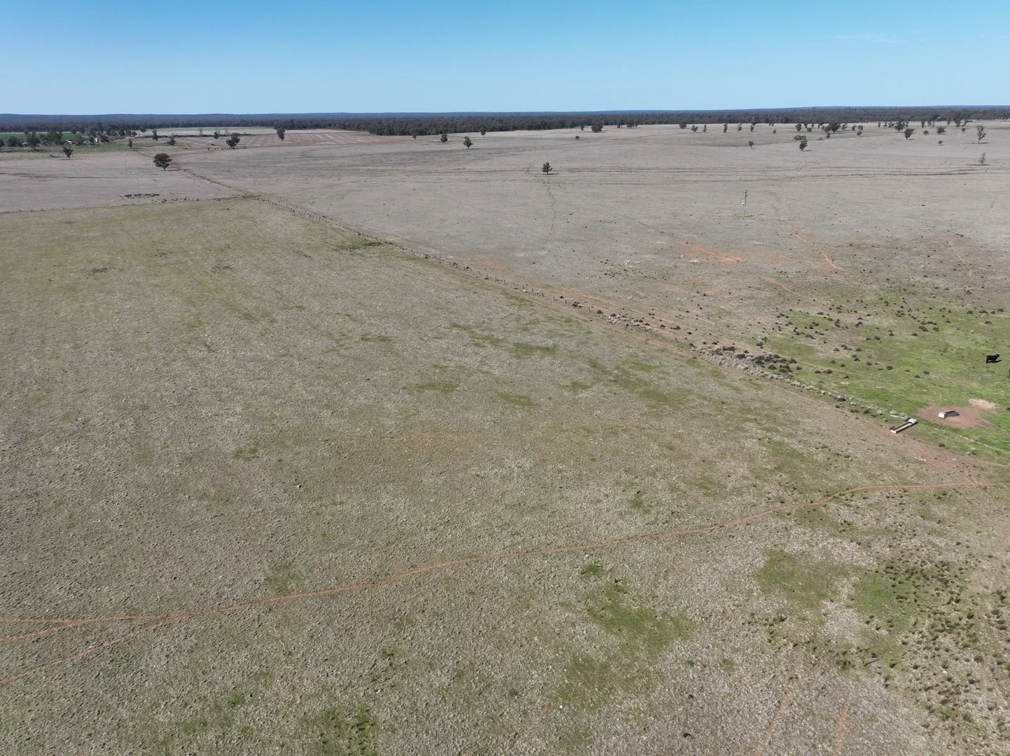 Additional image 5 of 'West Tarrawonga' 56 Donnelly Road, Eumungerie NSW 2822