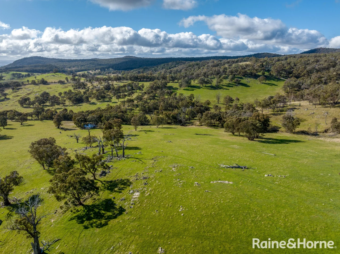 Additional image 6 of 2306 Bigga Road, Bigga NSW 2583