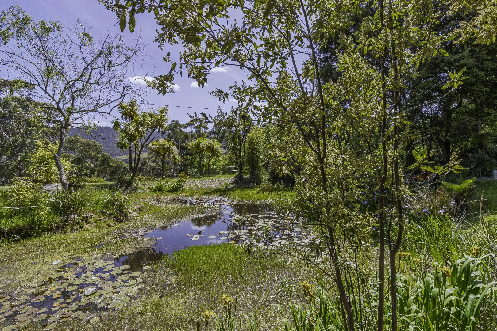Additional image 19 of 242 Woolleys Road, Lonnavale TAS 7109