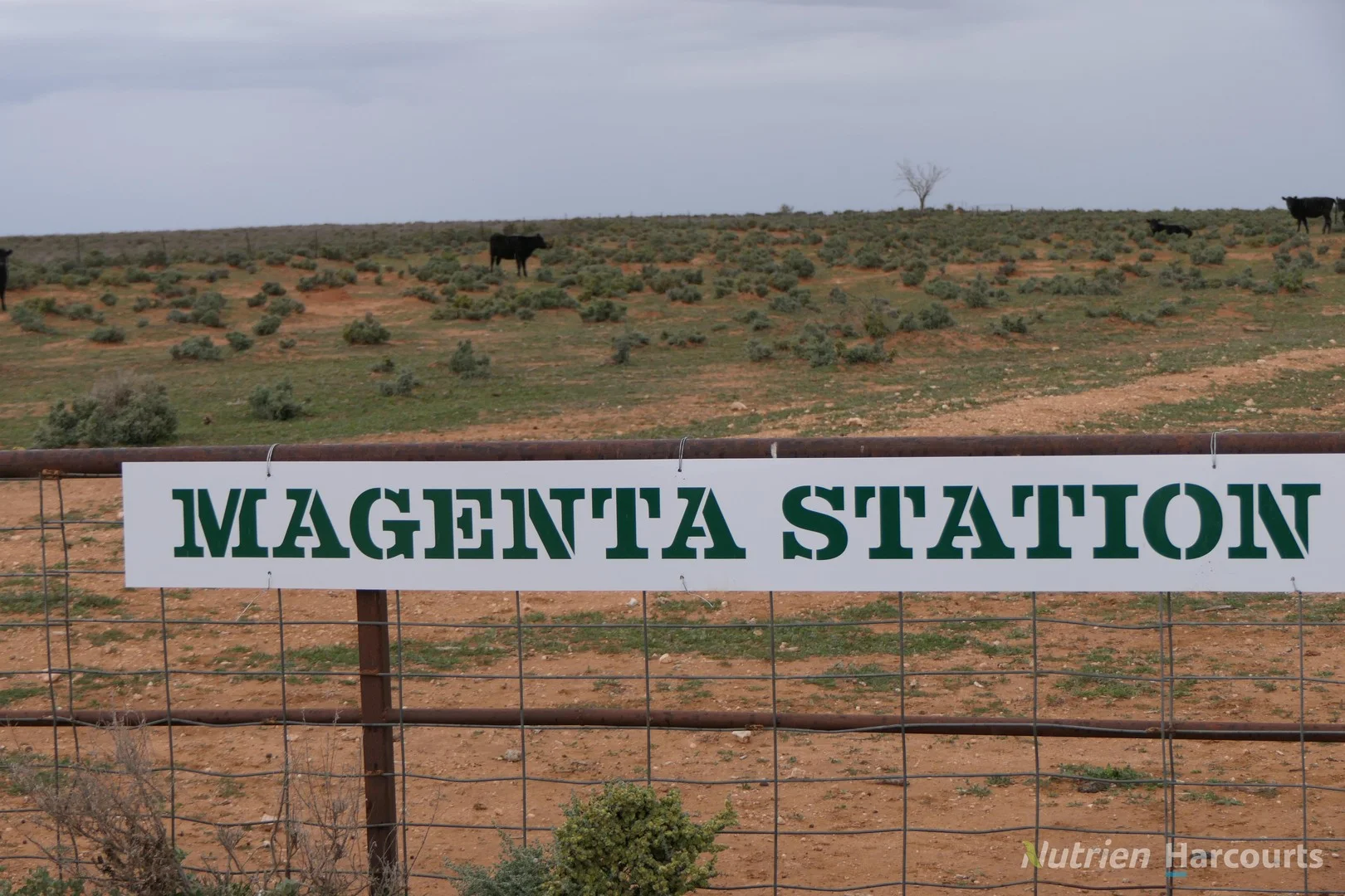 Additional image 2 of * Magenta Aggregation, Balranald NSW 2715