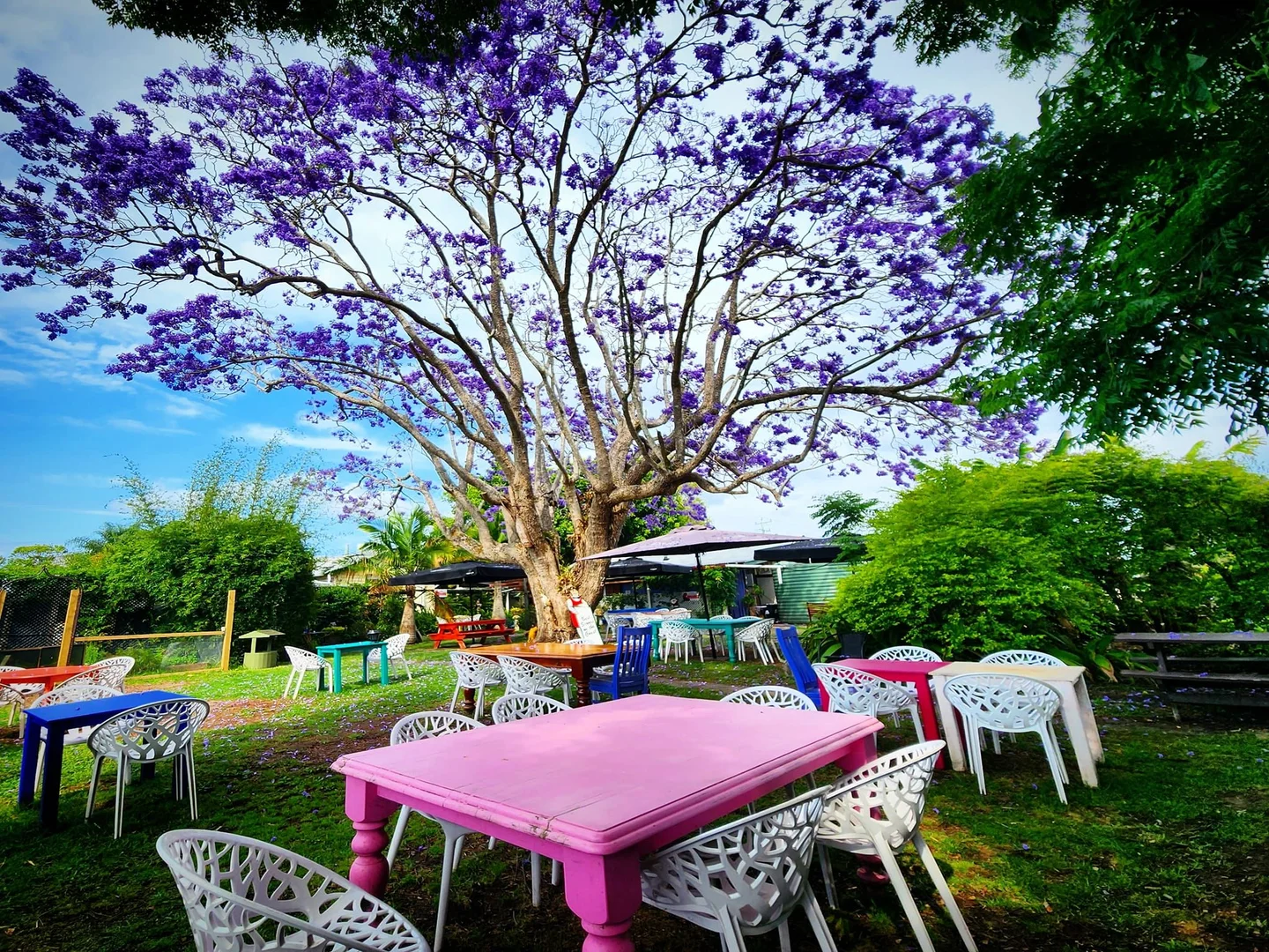 Additional image 5 of 34 HANNAM VALE ROAD, Moorland NSW 2443