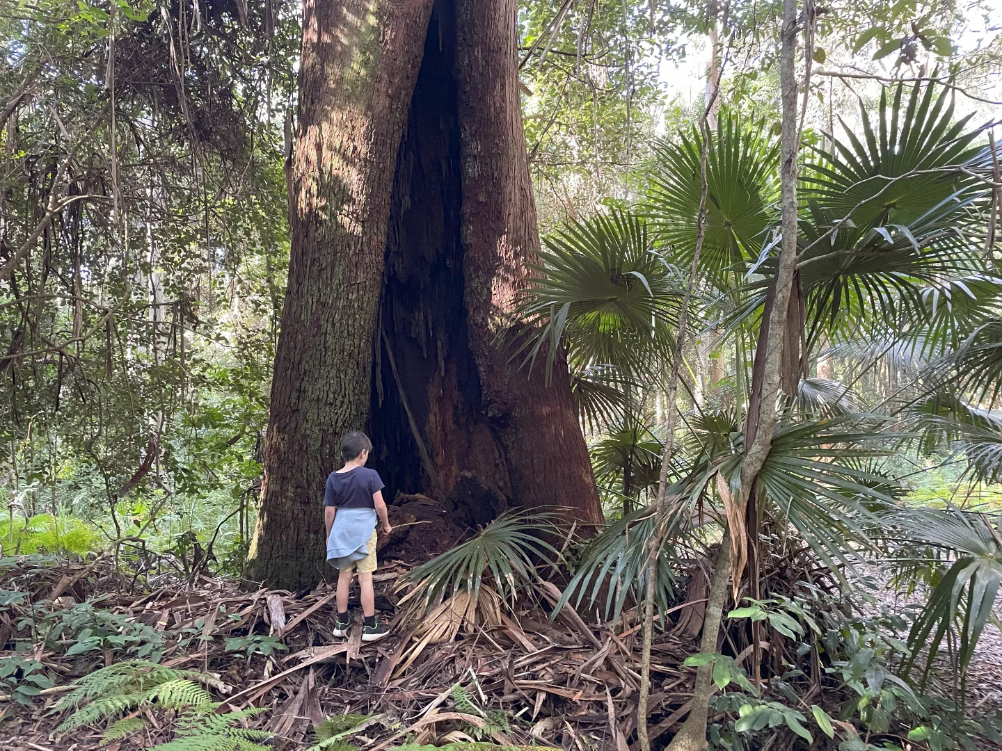 Additional image 17 of 20 James Norton Road, Bensville NSW 2251