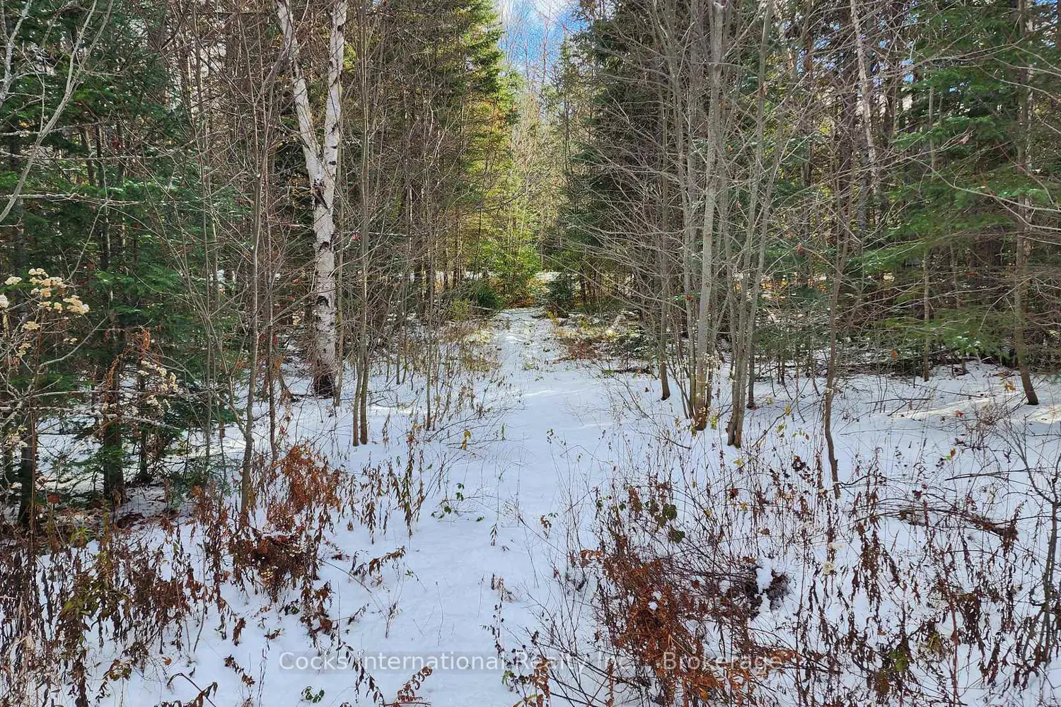 Additional image 2 of 44 Expressway Road