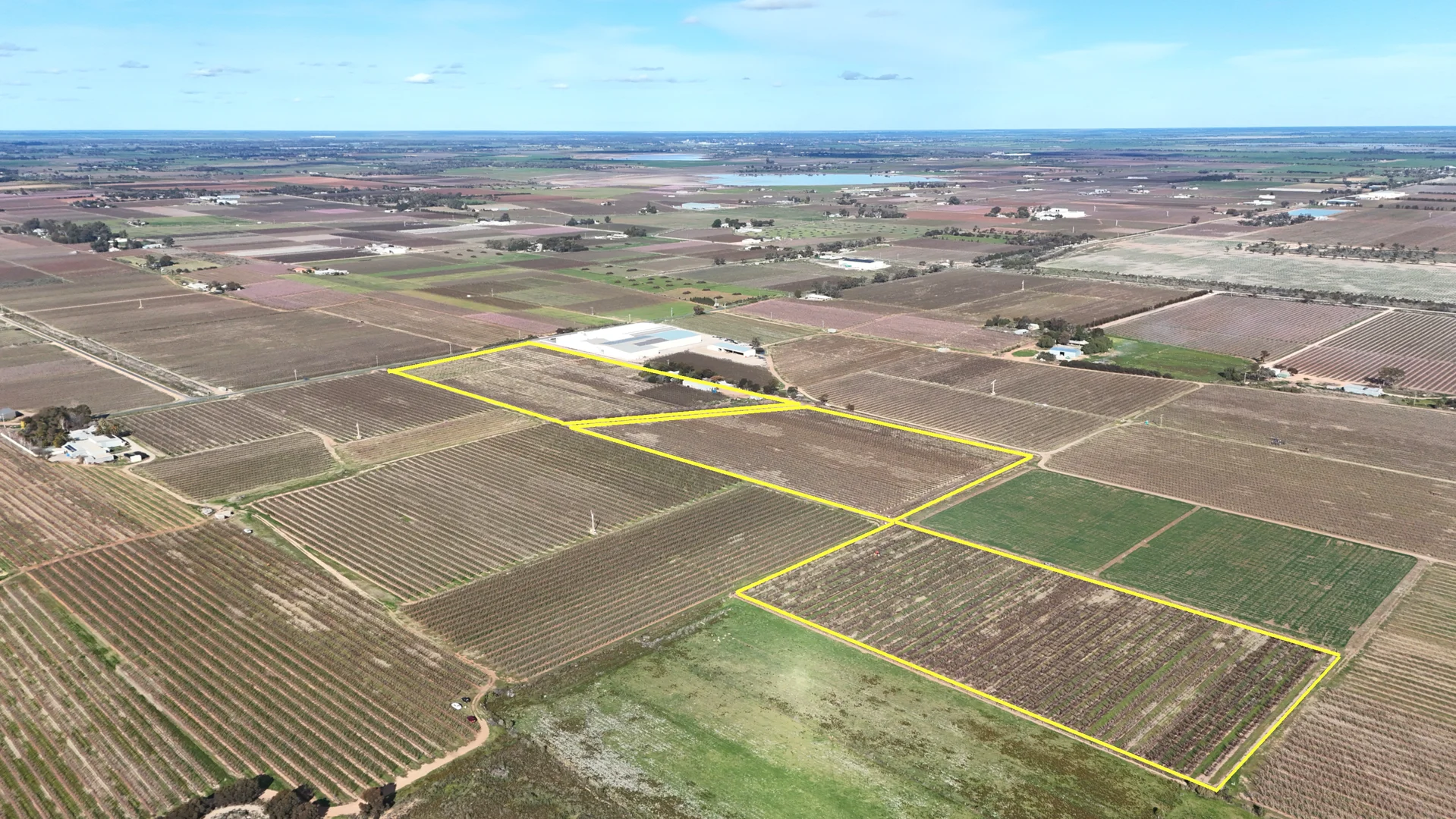 Additional image 8 of 419 North South Road, Woorinen North VIC 3589