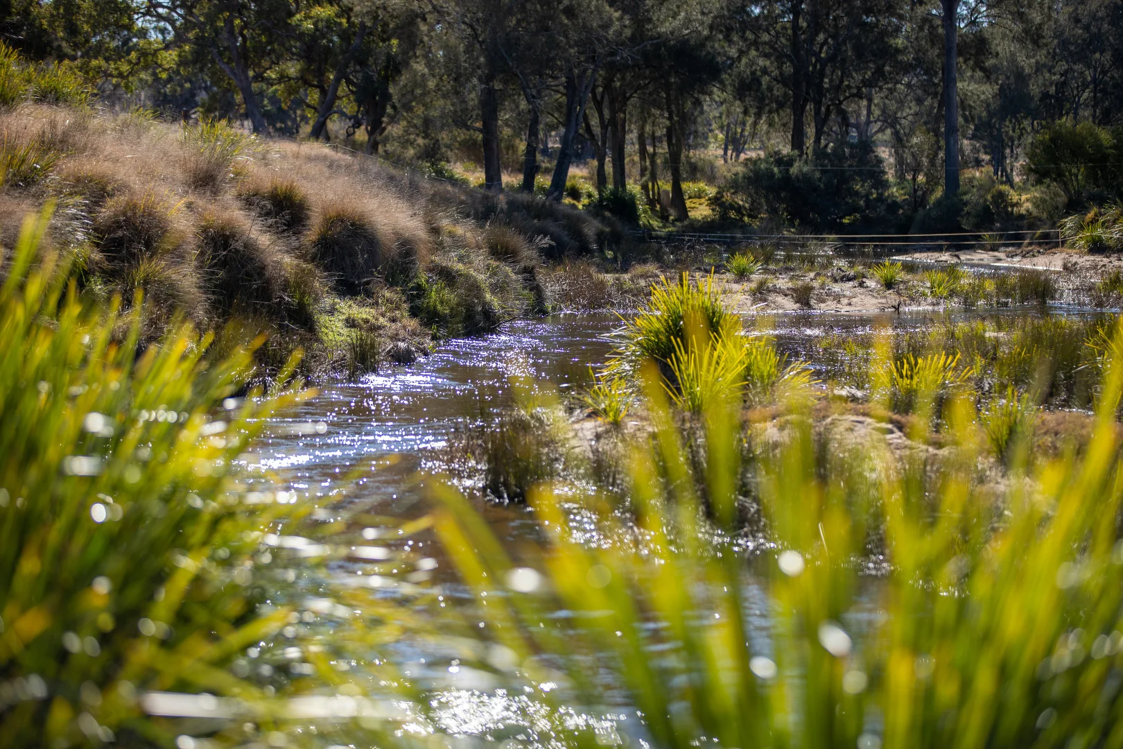 Additional image 24 of 214 Tarban Loop Road, Tenterfield NSW 2372