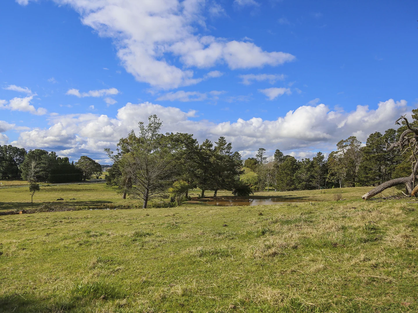 Additional image 2 of 7031 Illawarra Highway, Moss Vale NSW 2577