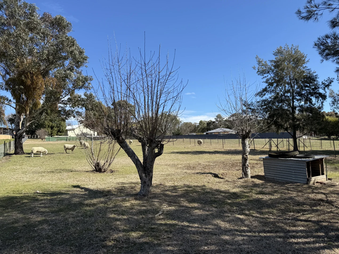 Additional image 14 of 1559 Wombat Rd, Wombat NSW 2587