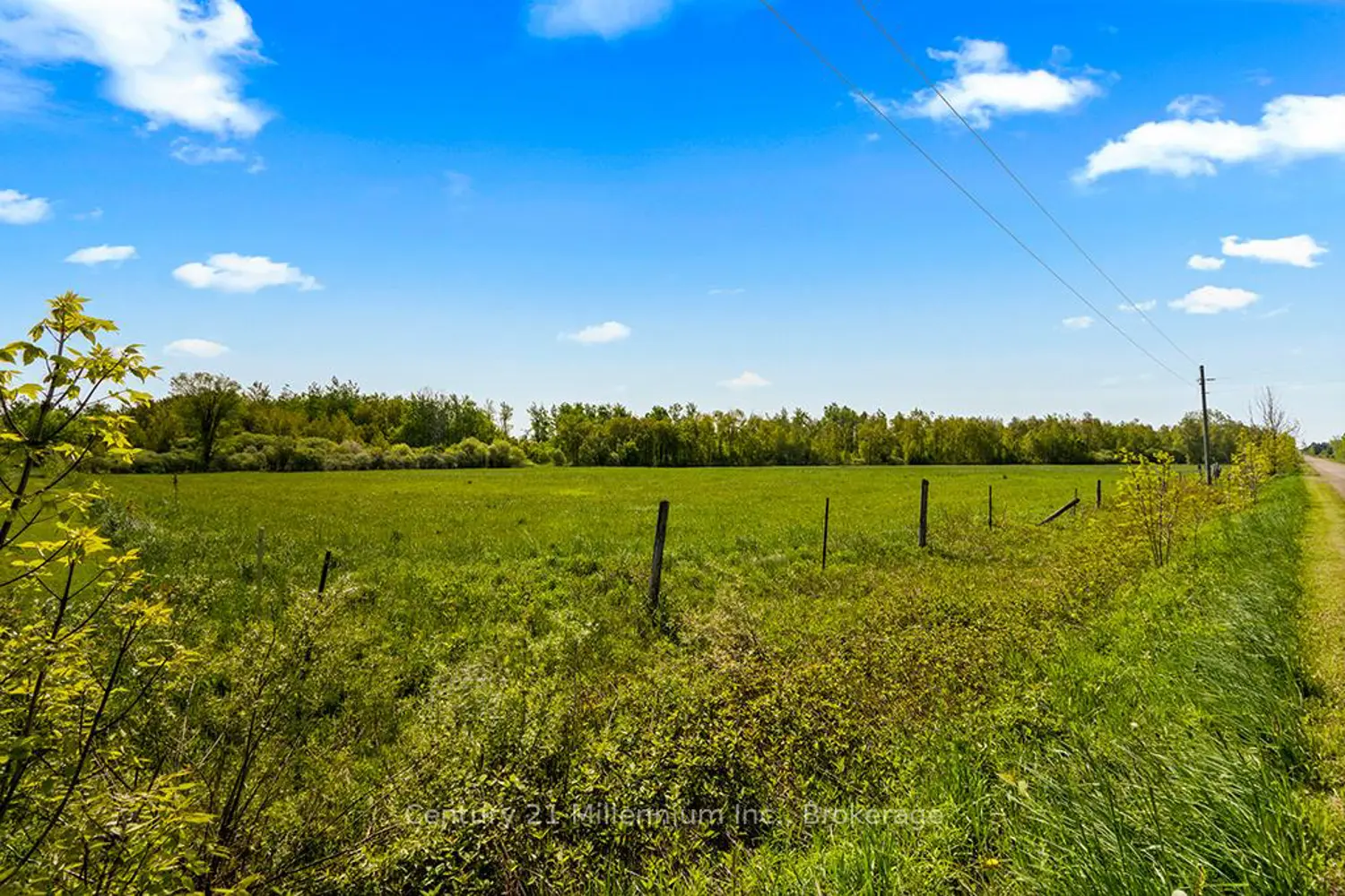 Additional image 3 of 375533 6Th Line