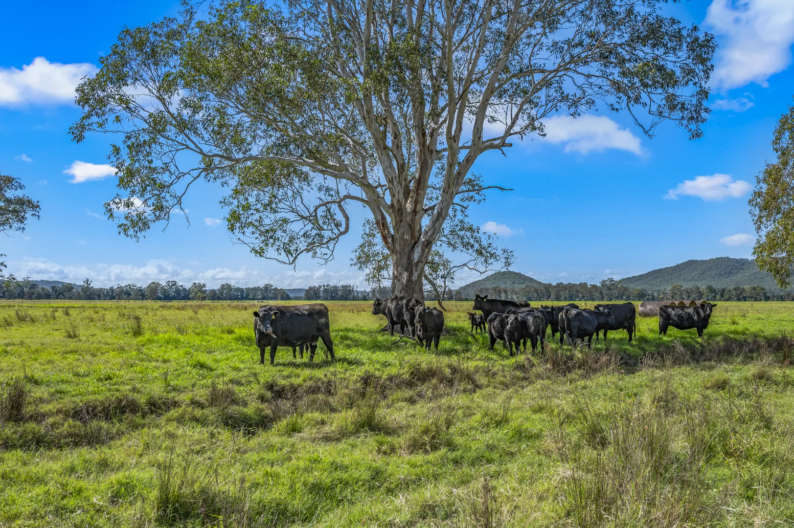 Additional image 14 of Brandon View |1102 Seaham Road, Seaham NSW 2324